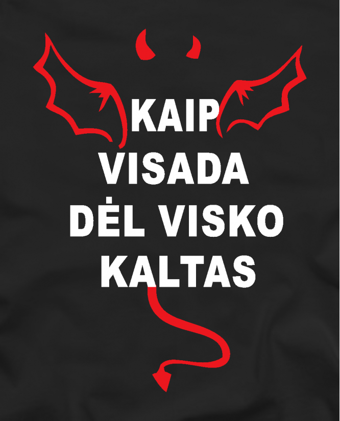 Dėl visko kaltas